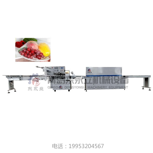 广州水果蔬菜包装机